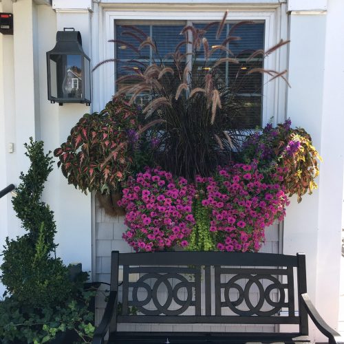 inn-window-box-8.20.20-rotated