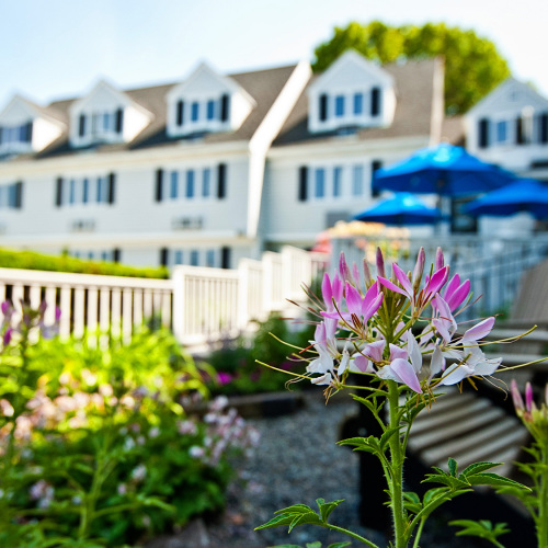 outside_flowers_2000x1125